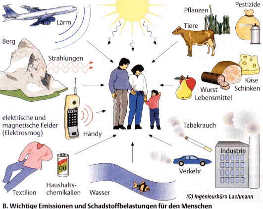 vielfltige Belastungsfaktoren